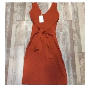 Zara burnt orange dress!